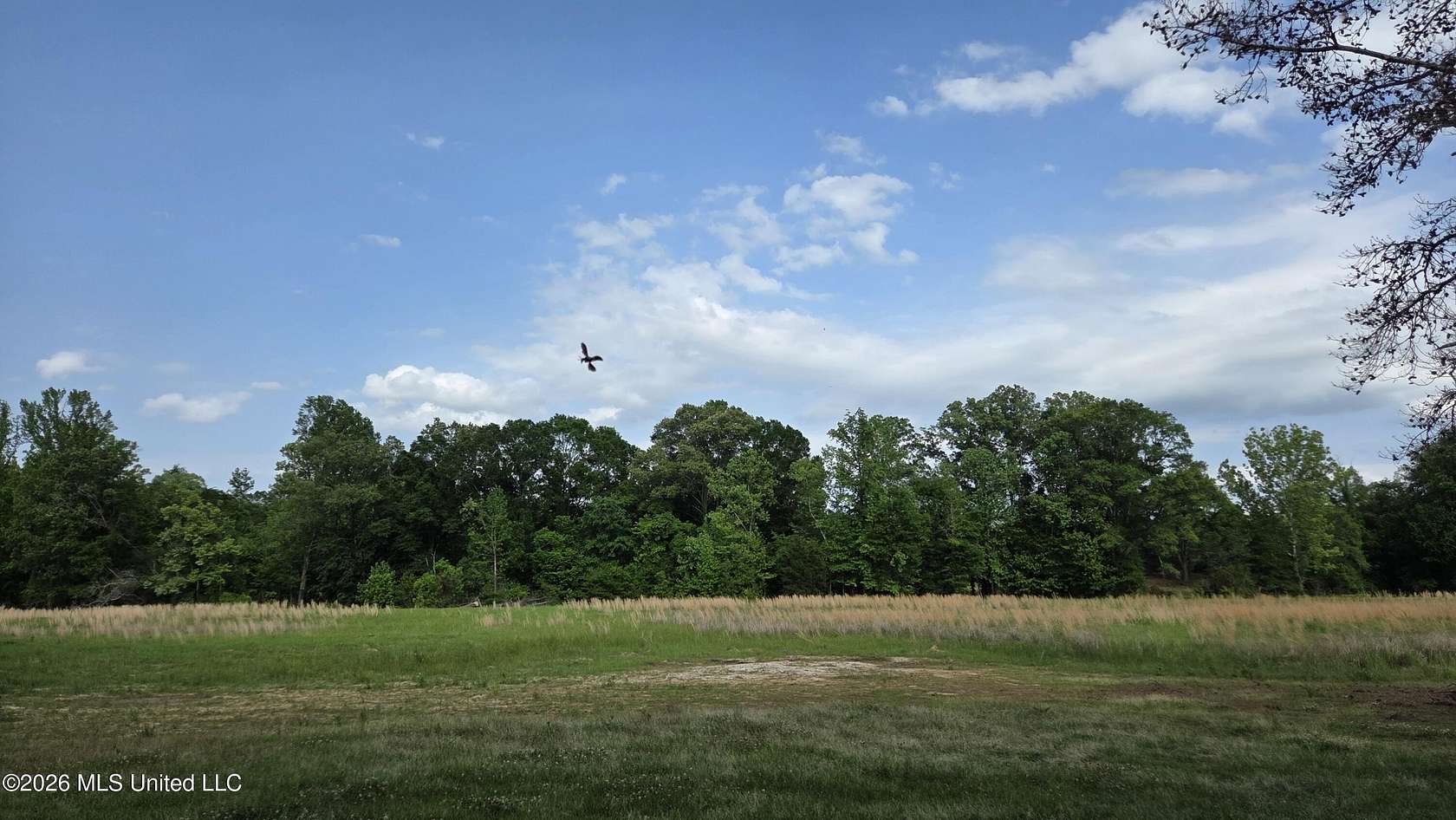 17.9 Acres of Recreational Land for Sale in Utica, Mississippi