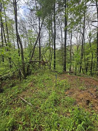 0.77 Acres of Land for Sale in Zoe, Kentucky