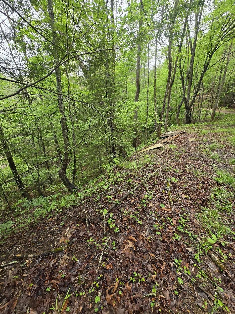 0.51 Acres of Land for Sale in Zoe, Kentucky
