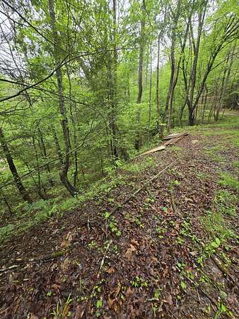 0.51 Acres of Land for Sale in Zoe, Kentucky