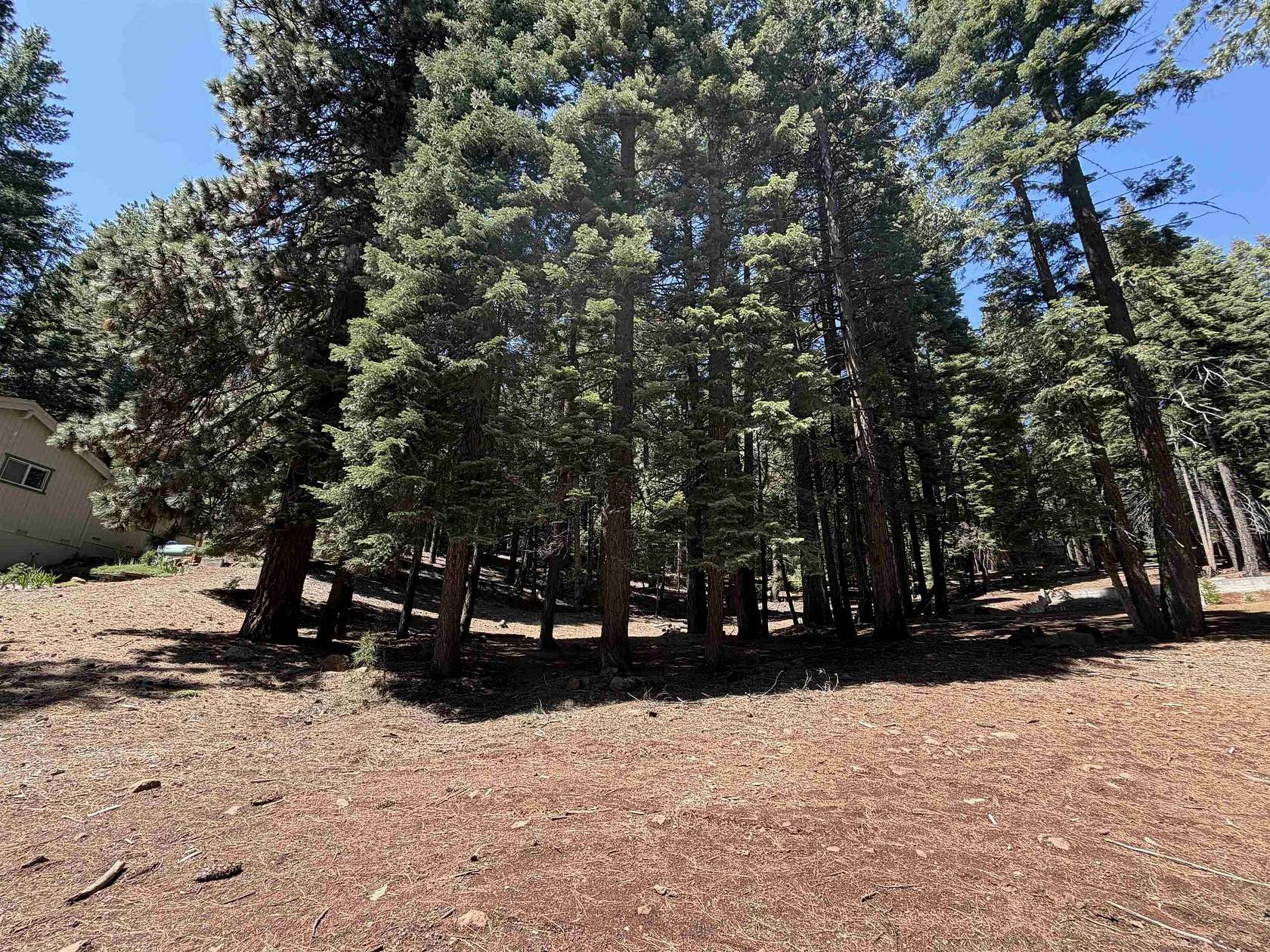 0.5 Acres of Residential Land for Sale in Lake Almanor Country Club, California