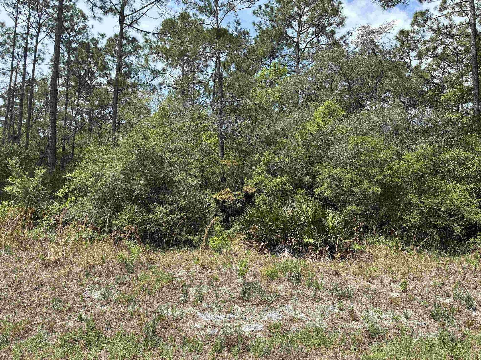 1 Acre of Residential Land for Sale in Panacea, Florida