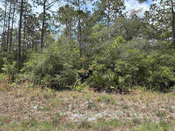 1 Acre of Residential Land for Sale in Panacea, Florida