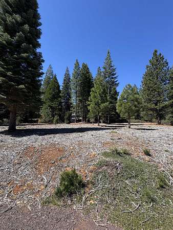 0.31 Acres of Land for Sale in Lake Almanor Peninsula, California