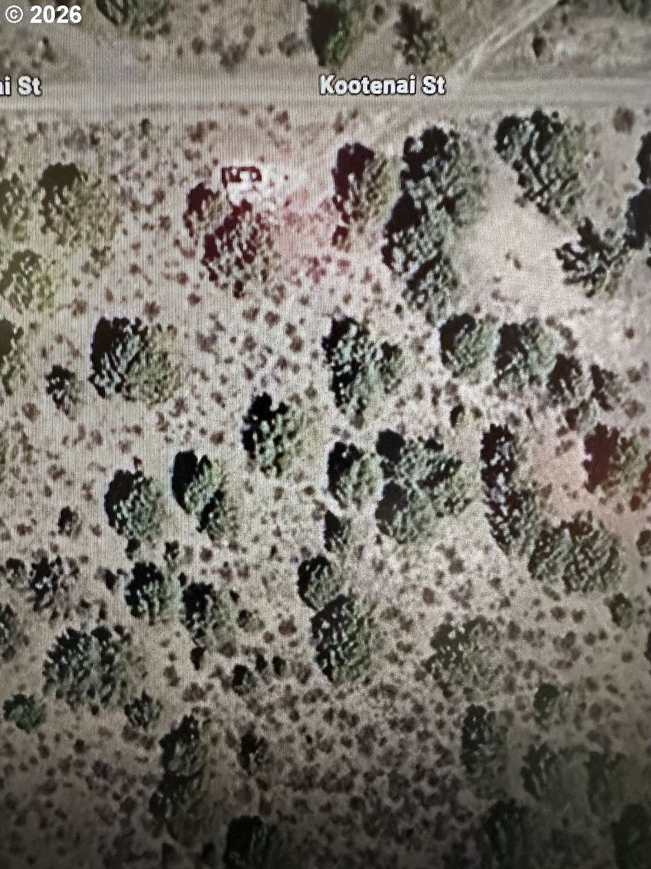 1.5 Acres of Residential Land for Sale in Chiloquin, Oregon
