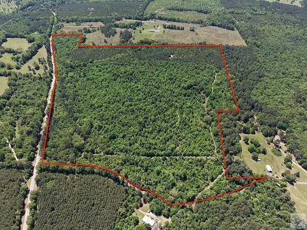 97 Acres of Recreational Land for Sale in Linden, Texas