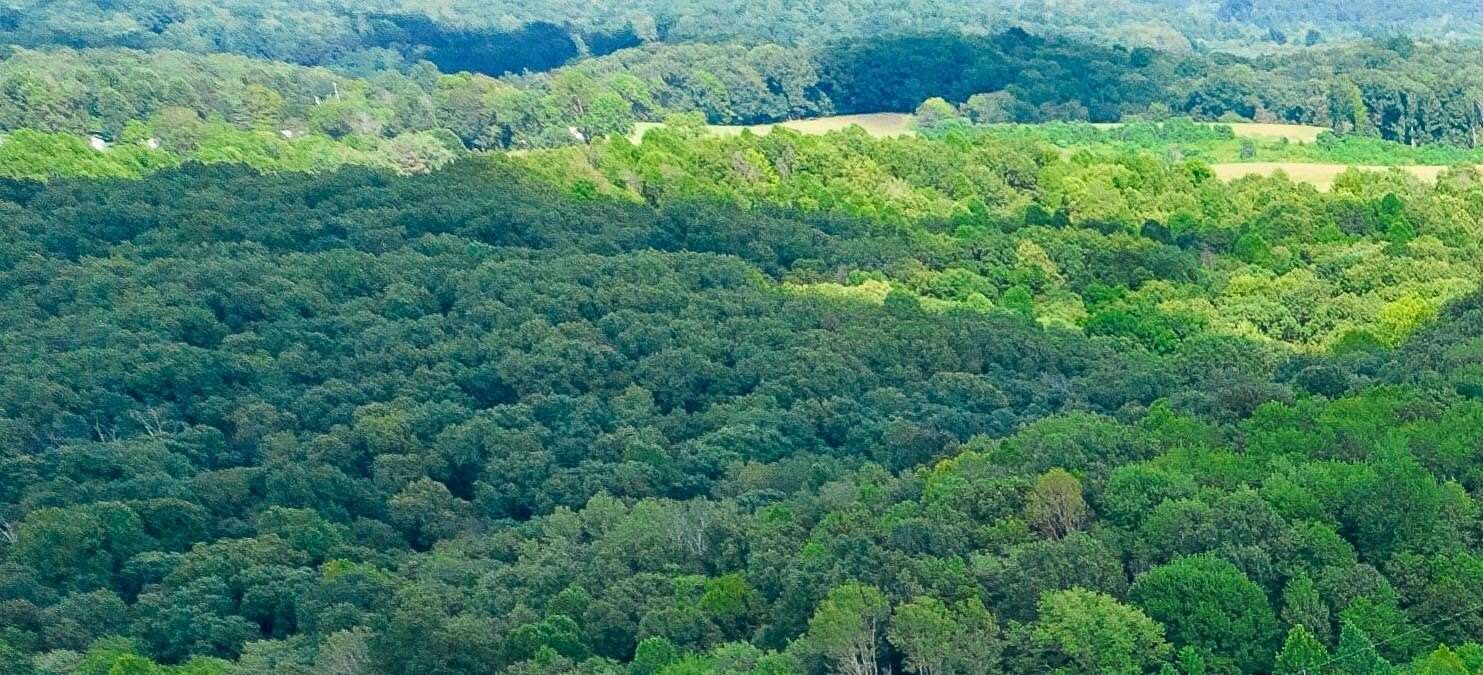 29.8 Acres of Recreational & Residential Land for Sale in Wilkesville Township, Ohio