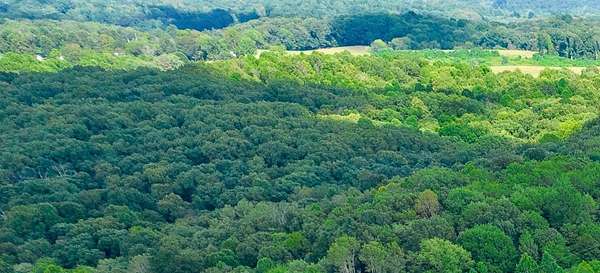 29.8 Acres of Recreational & Residential Land for Sale in Wilkesville Township, Ohio