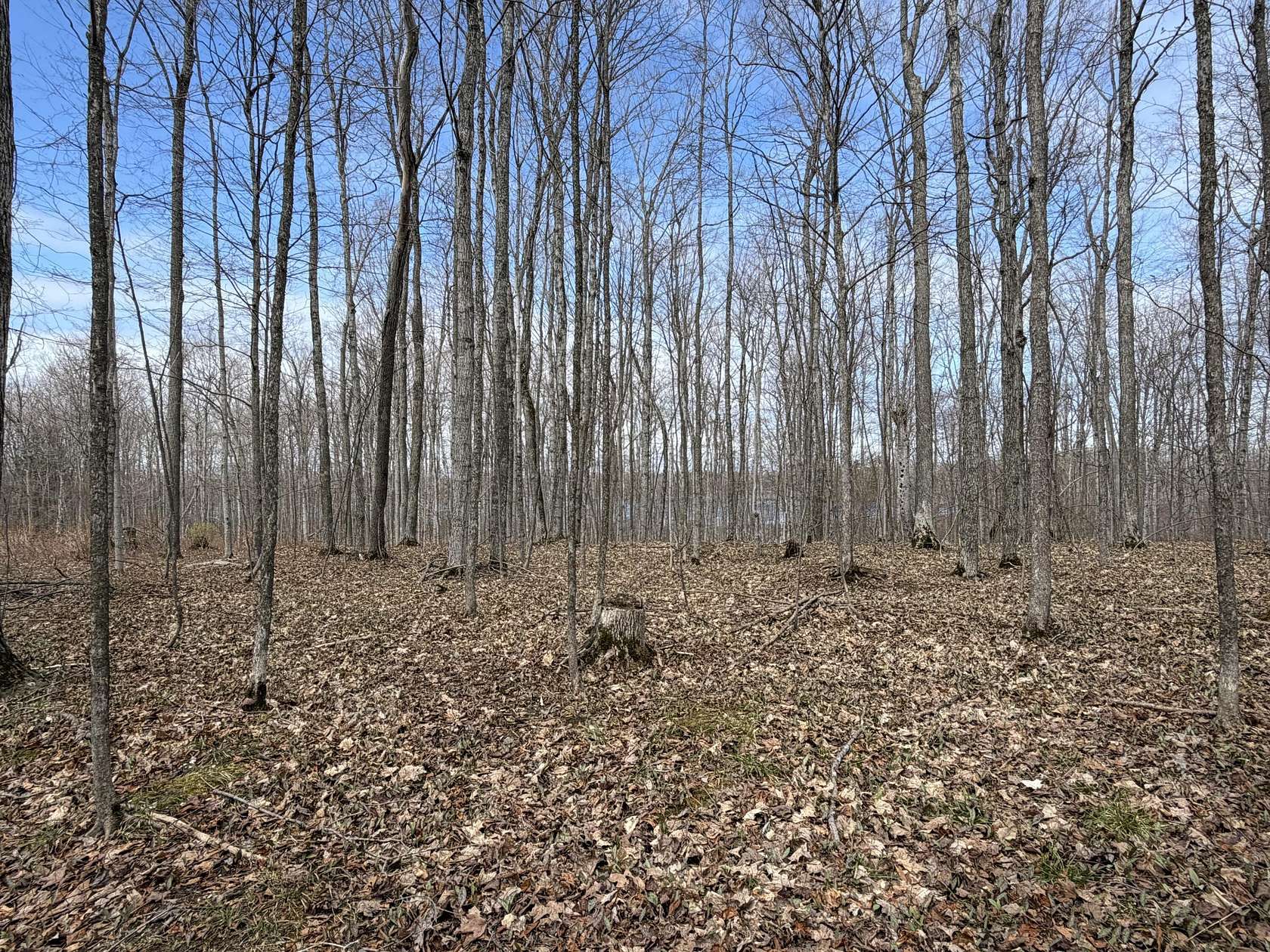 3 Acres of Residential Land for Sale in Carp Lake, Michigan