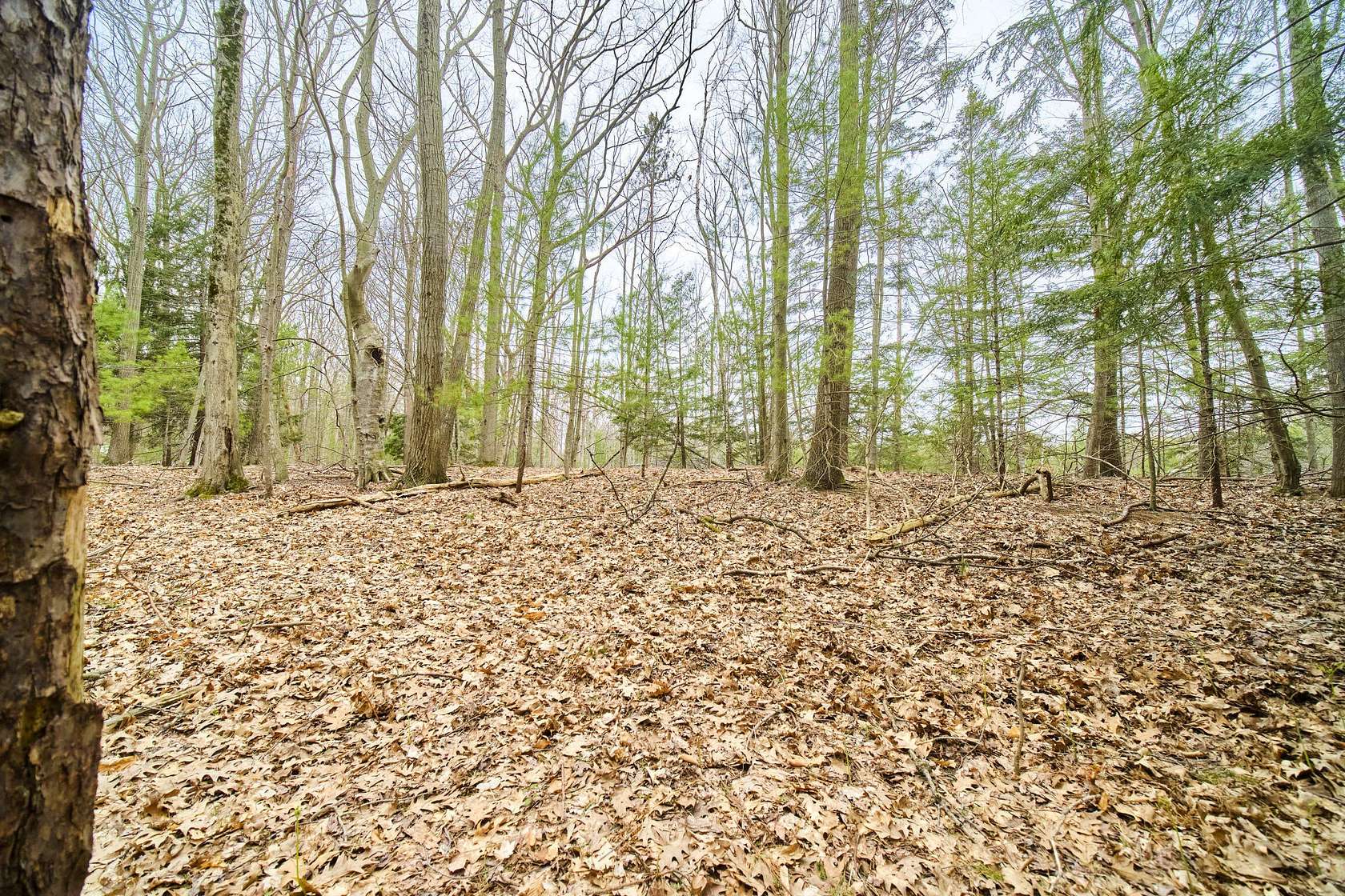 0.86 Acres of Land for Sale in Manistee, Michigan