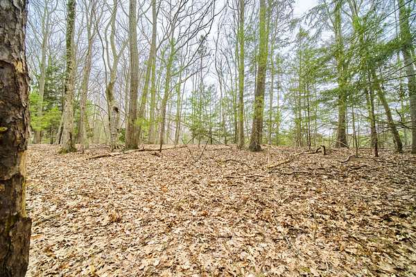 0.86 Acres of Land for Sale in Manistee, Michigan