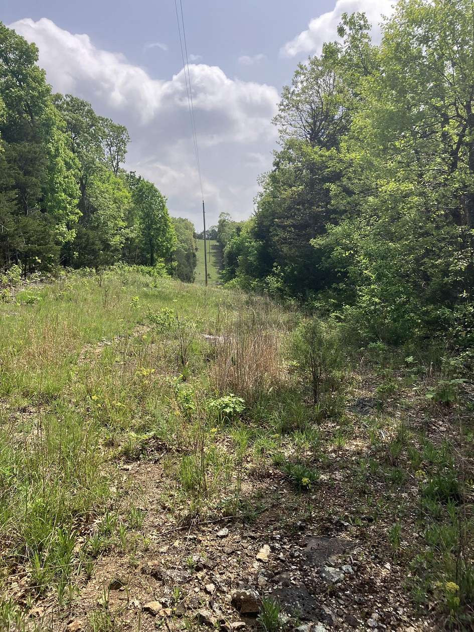 8.3 Acres of Land for Sale in Drury, Missouri