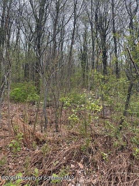 12 Acres of Agricultural Land for Sale in Olyphant, Pennsylvania