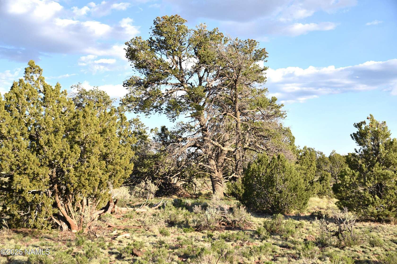 36 Acres of Land for Sale in Williams, Arizona