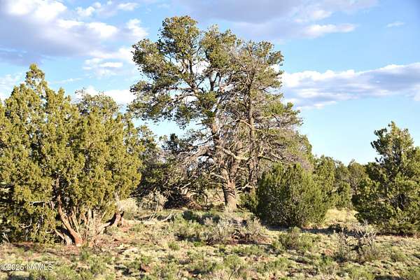 36 Acres of Land for Sale in Williams, Arizona