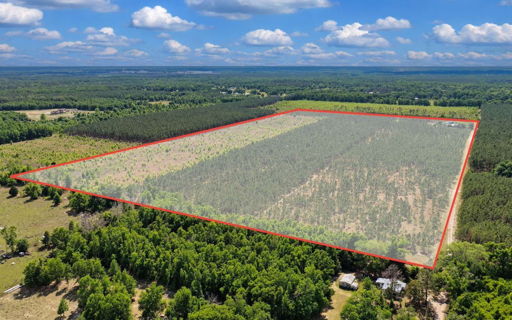 40 Acres of Recreational & Residential Land for Sale in O'Brien, Florida