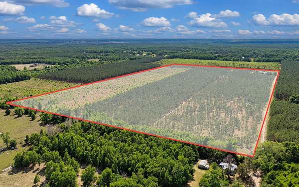 40 Acres of Recreational & Residential Land for Sale in O'Brien, Florida