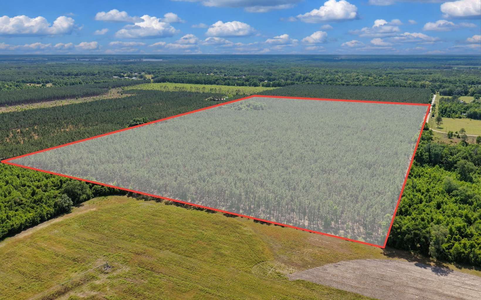 40 Acres of Recreational & Residential Land for Sale in O'Brien, Florida