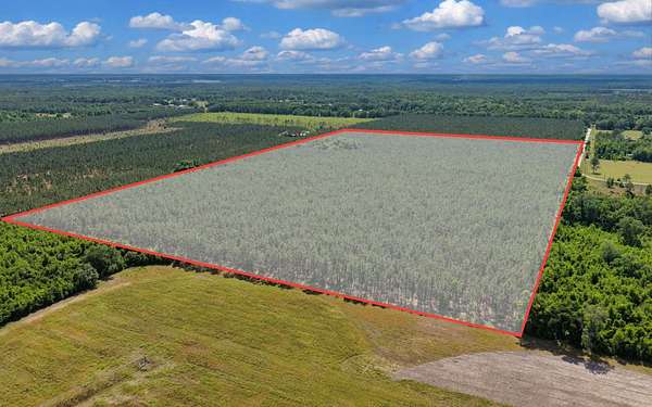 40 Acres of Recreational & Residential Land for Sale in O'Brien, Florida