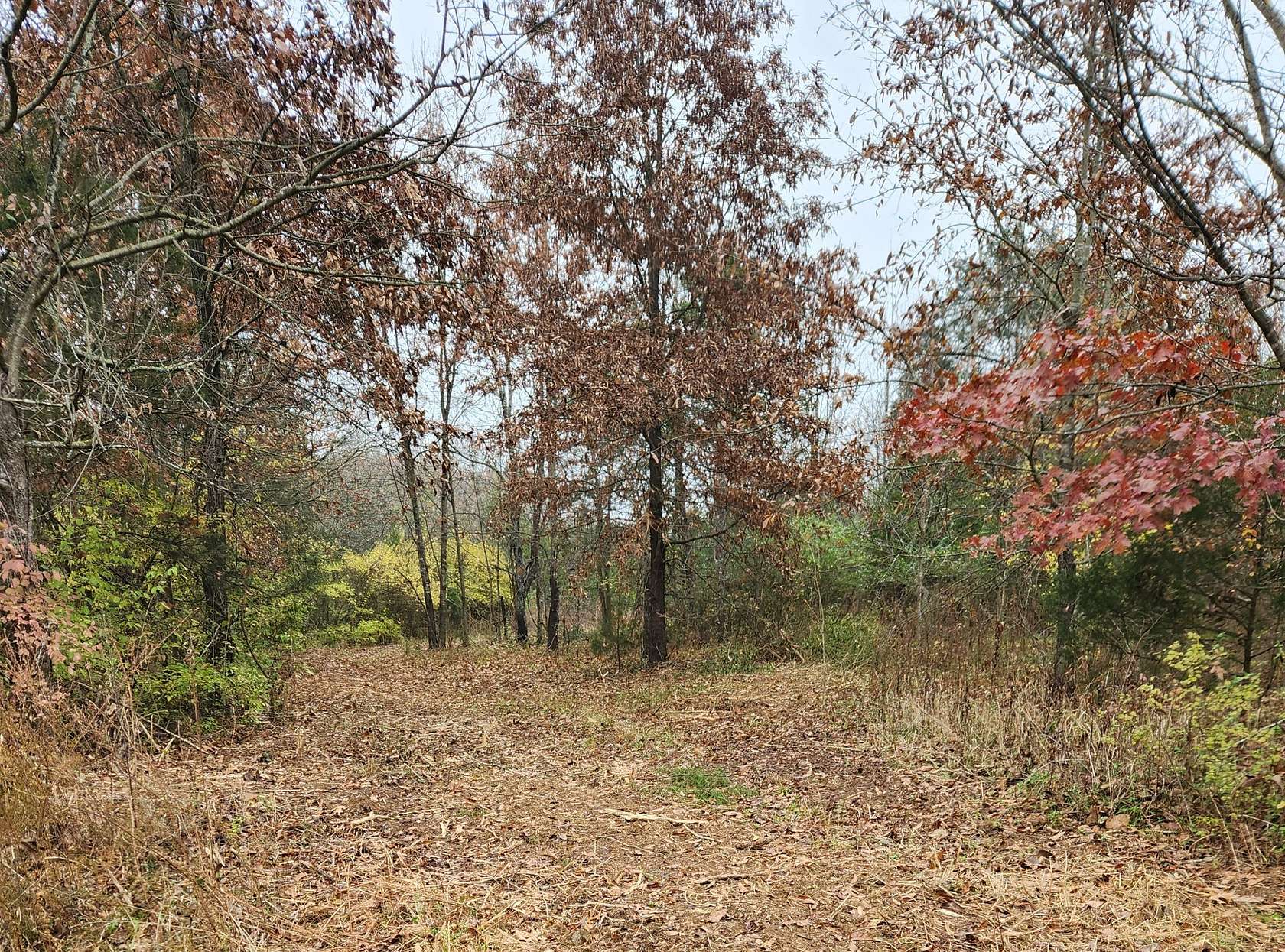 68 Acres of Recreational Land for Sale in Franklin, Tennessee