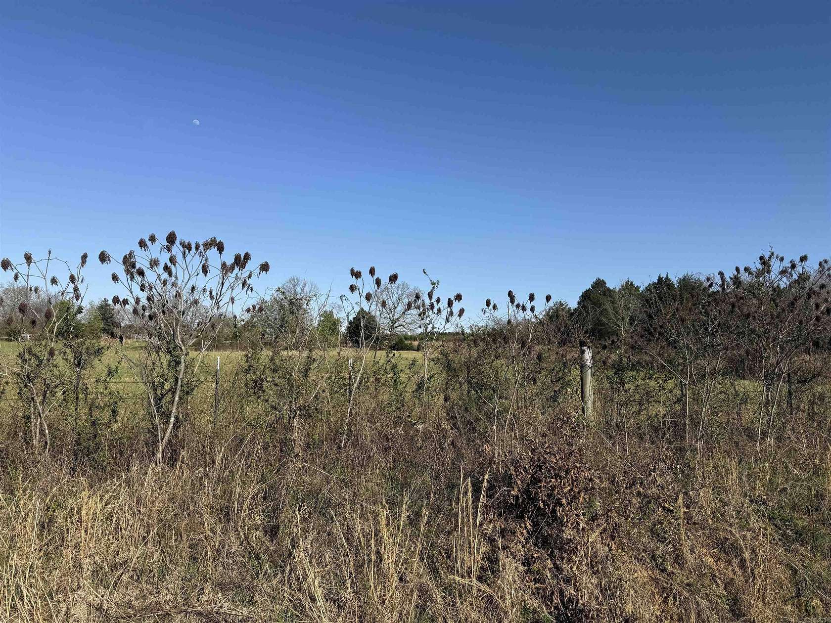 8.19 Acres of Residential Land for Sale in Quitman, Arkansas