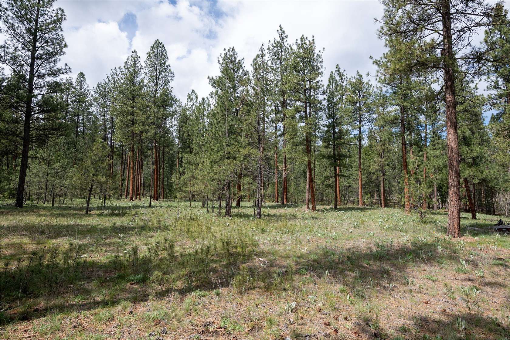 3.5 Acres of Land for Sale in Florence, Montana