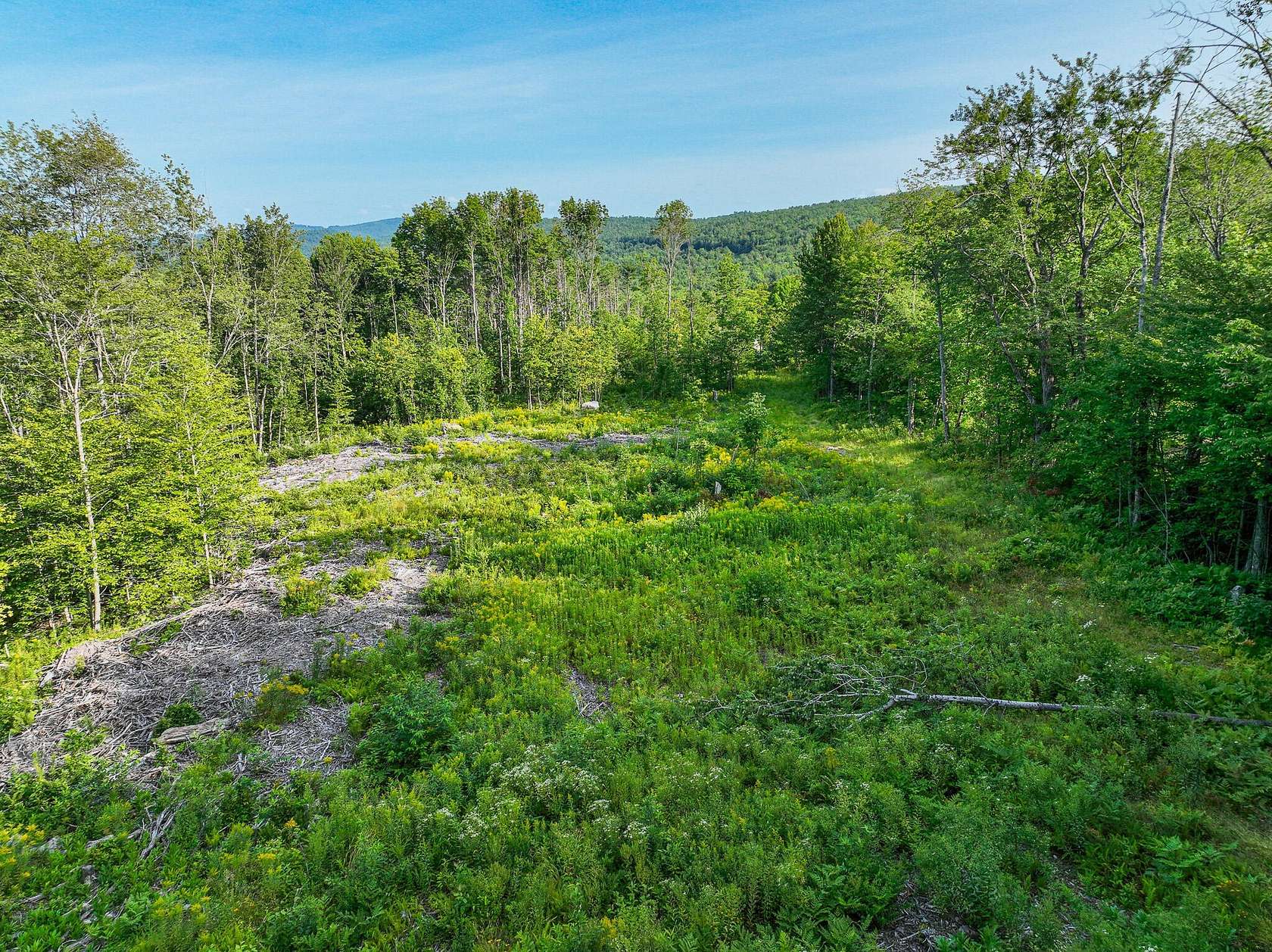 56 Acres of Recreational & Residential Land for Sale in Rumford, Maine