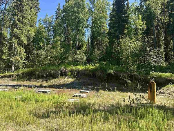 3.15 Acres of Residential Land for Sale in Fairbanks, Alaska