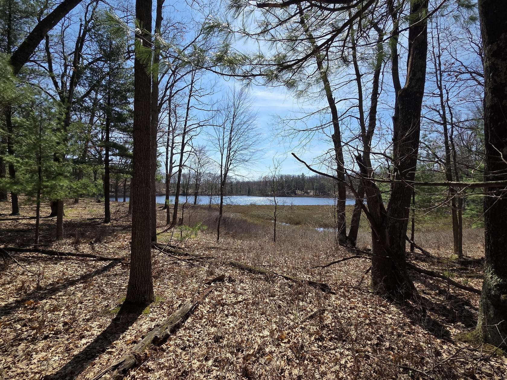 1.36 Acres of Land for Sale in Irons, Michigan