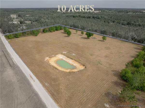 9.85 Acres of Residential Land for Sale in Patterson, Georgia