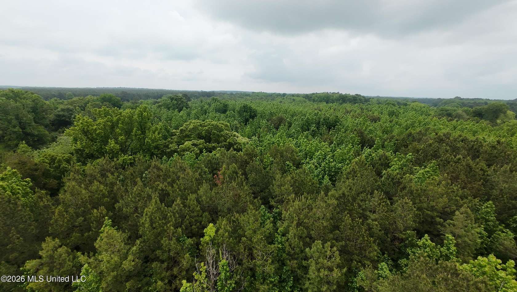 12.9 Acres of Recreational & Residential Land for Sale in Forest, Mississippi