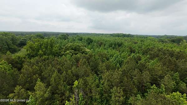 12.9 Acres of Recreational & Residential Land for Sale in Forest, Mississippi