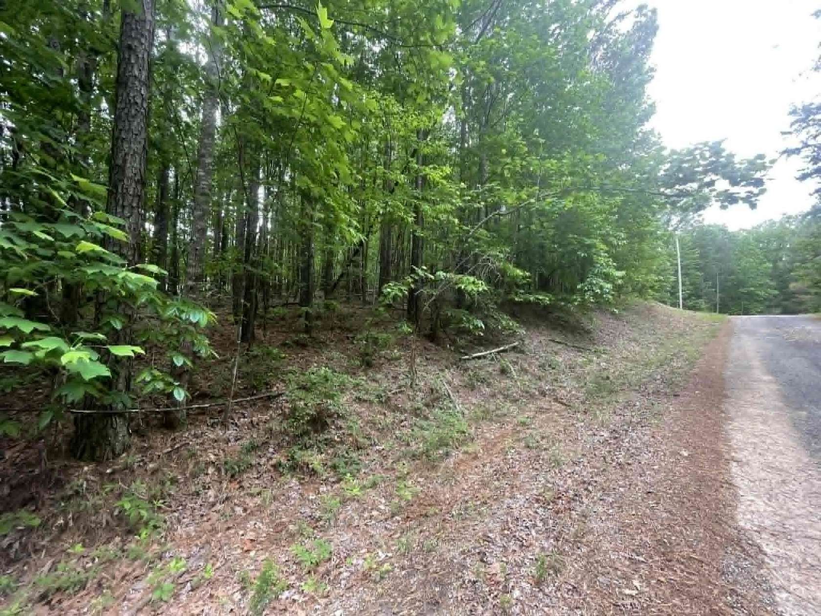 30 Acres of Recreational & Residential Land for Sale in Jasper, Alabama