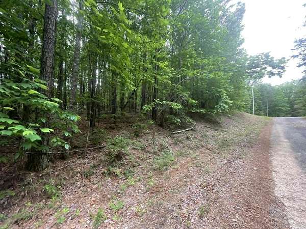 30 Acres of Recreational & Residential Land for Sale in Jasper, Alabama