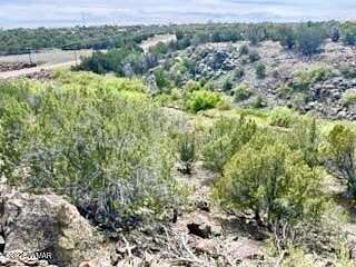 0.41 Acres of Residential Land for Sale in Show Low, Arizona