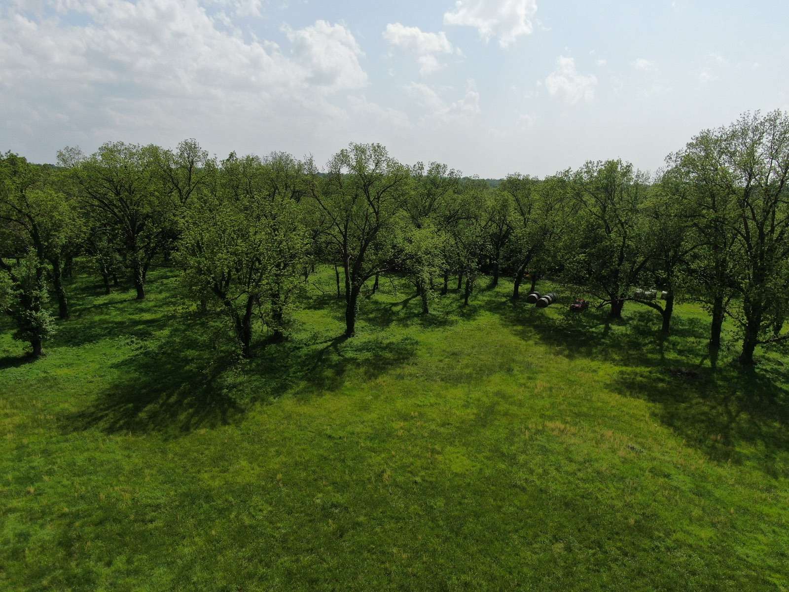 40 Acres of Land for Sale in Vinita, Oklahoma