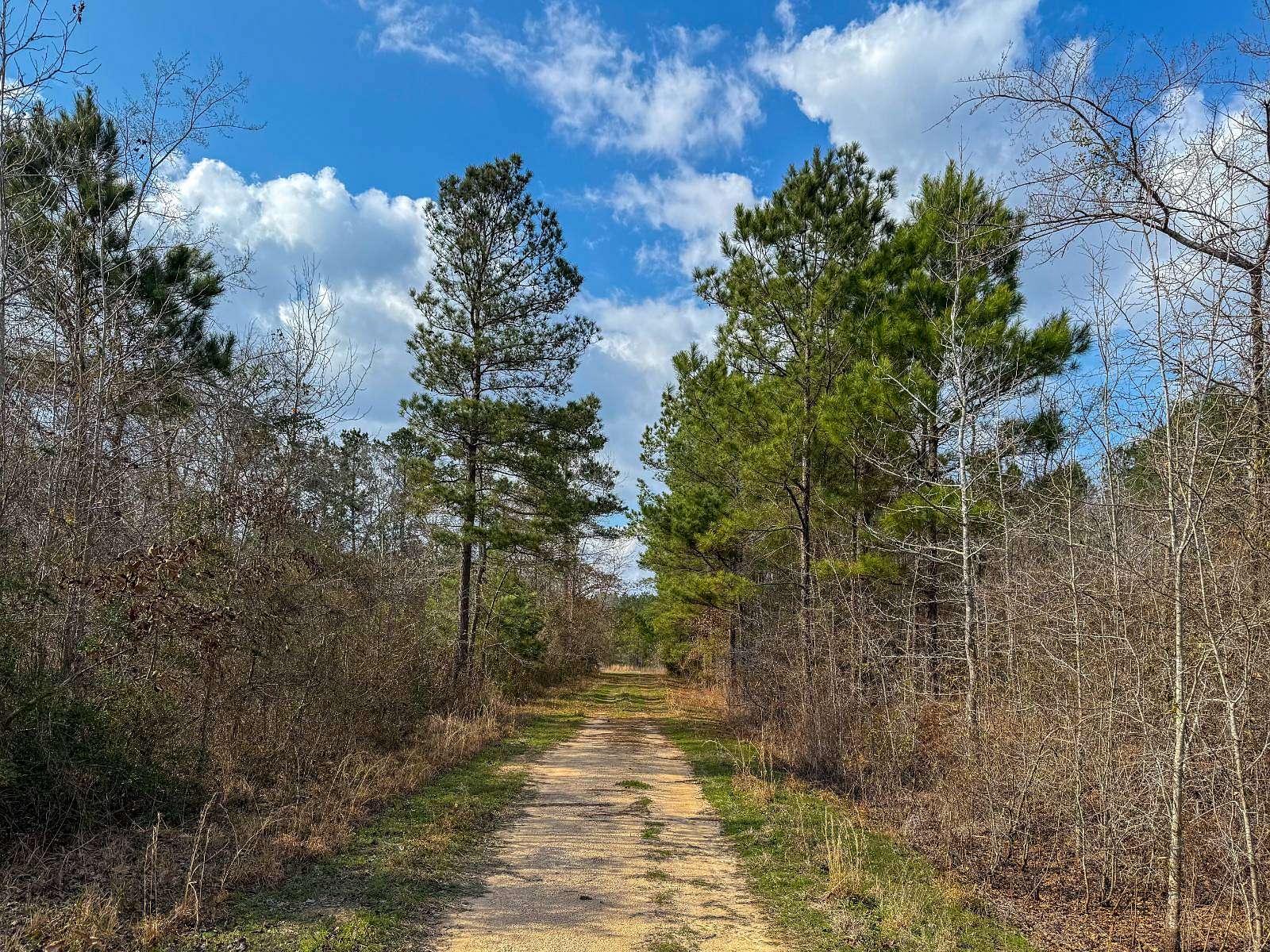 116 Acres of Recreational Land for Sale in De Berry, Texas