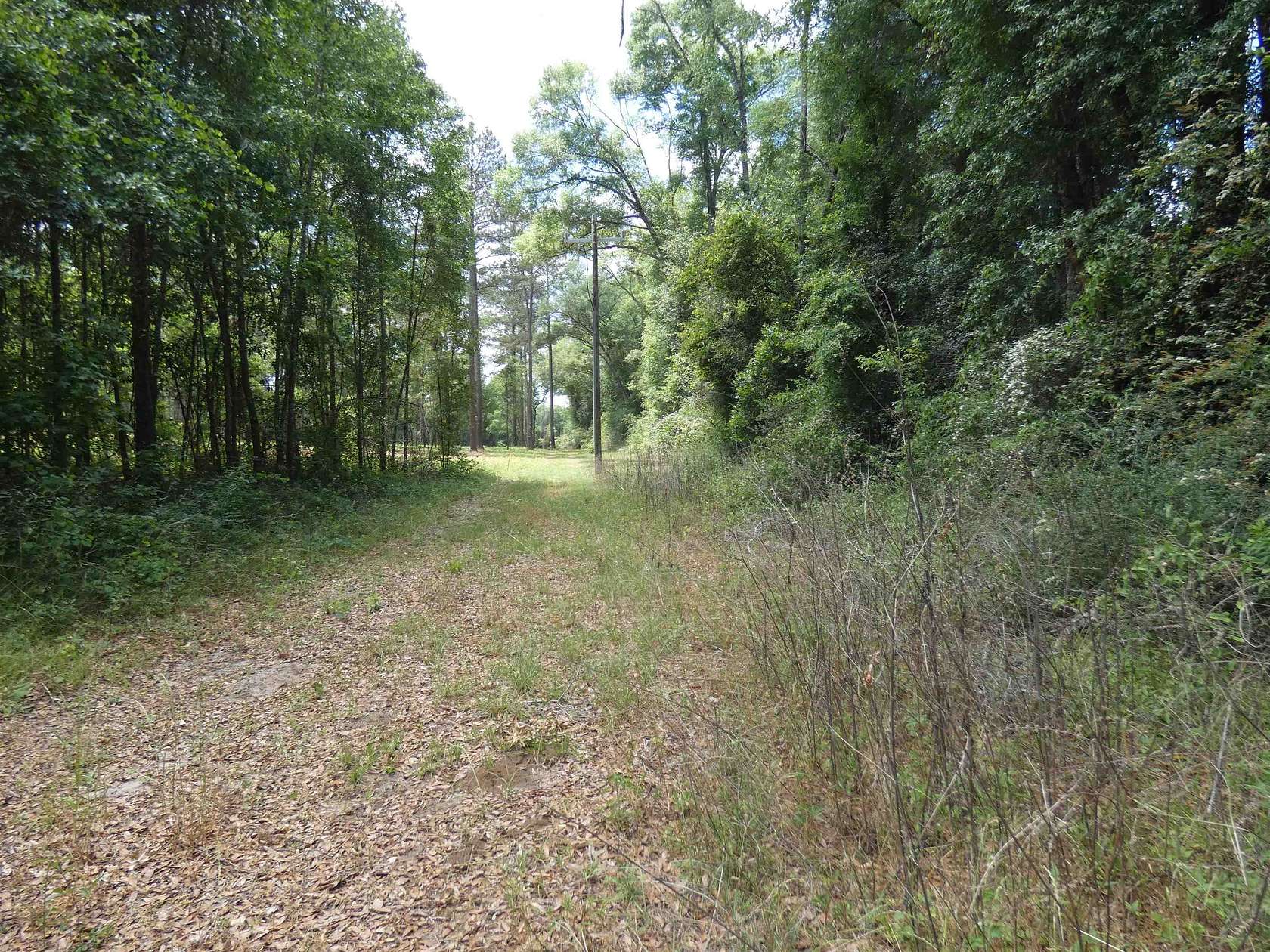 5 Acres of Land for Sale in Monticello, Florida