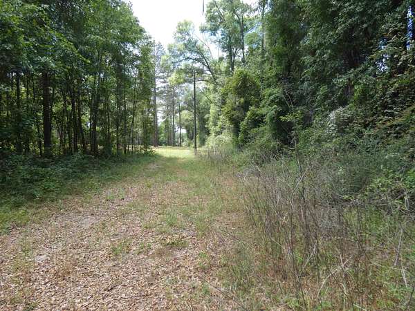 5 Acres of Land for Sale in Monticello, Florida