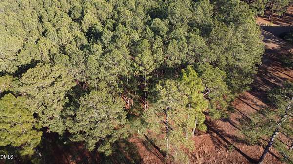 0.66 Acres of Residential Land for Auction in Lillington, North Carolina