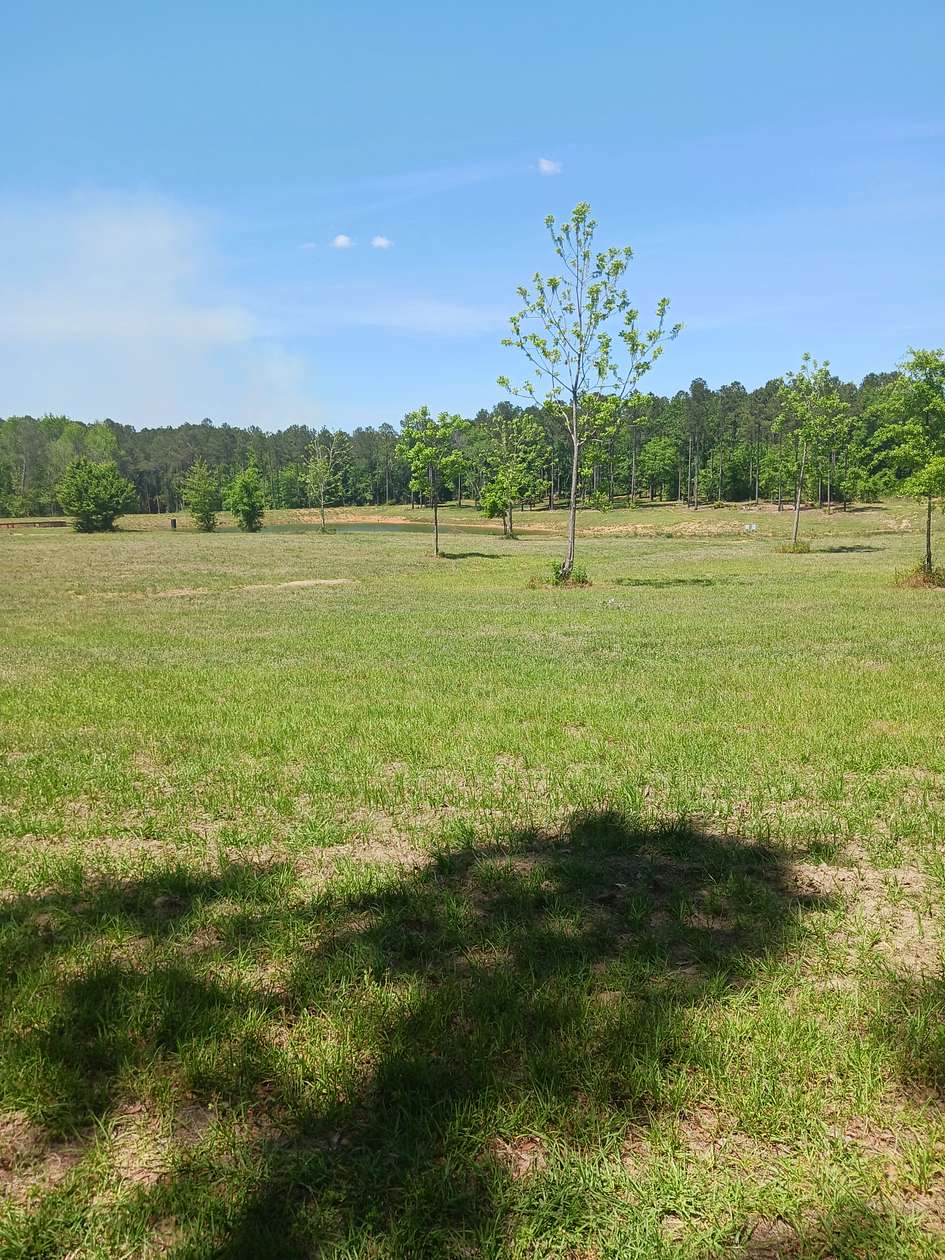32 Acres of Recreational & Residential Land for Sale in Headland, Alabama