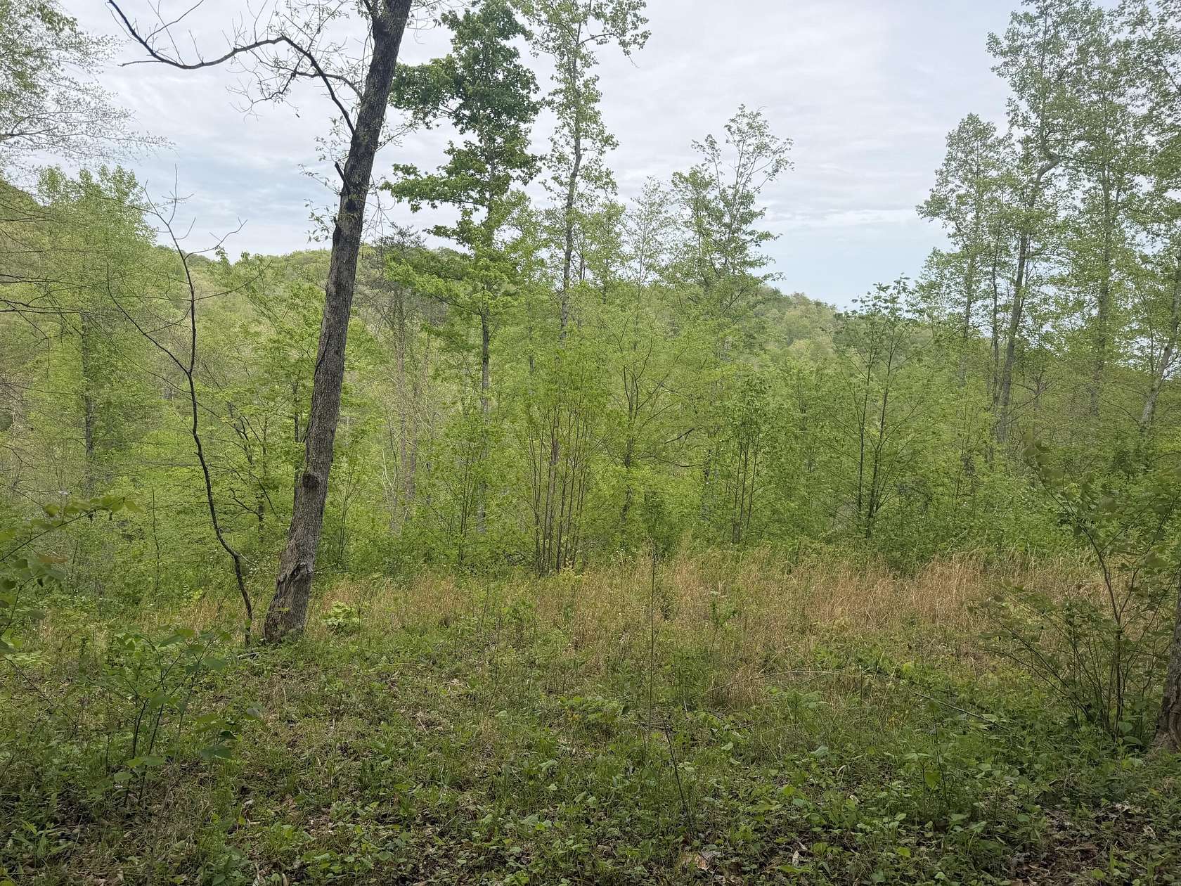 6.65 Acres of Residential Land for Sale in Orlando, Kentucky