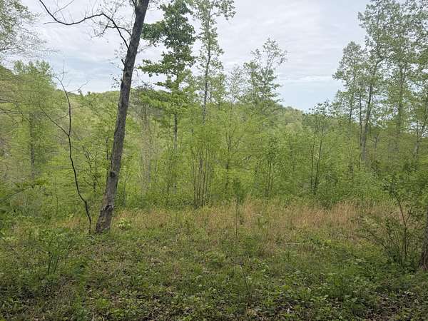 6.65 Acres of Residential Land for Sale in Orlando, Kentucky