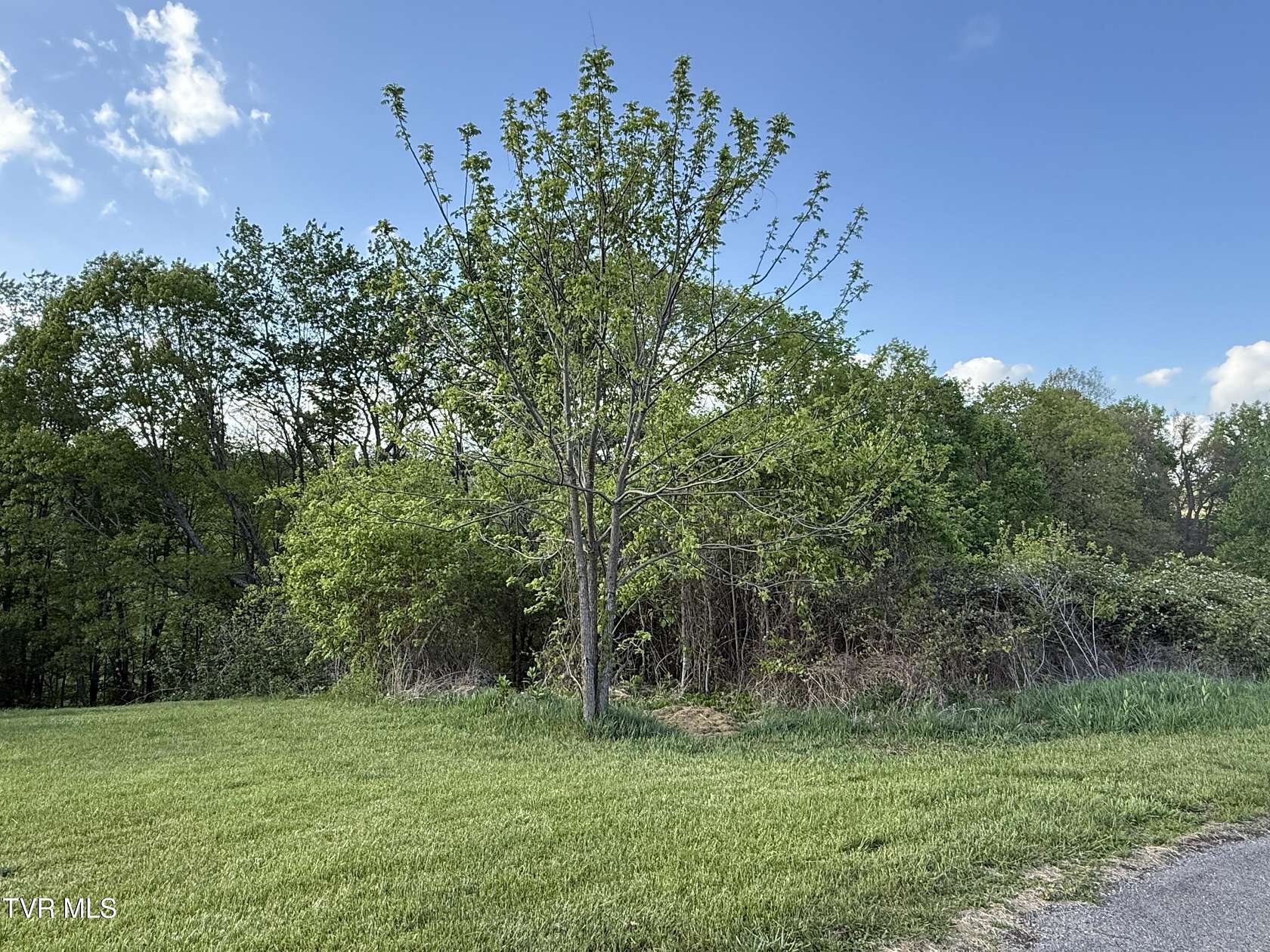 0.96 Acres of Residential Land for Sale in Nickelsville, Virginia