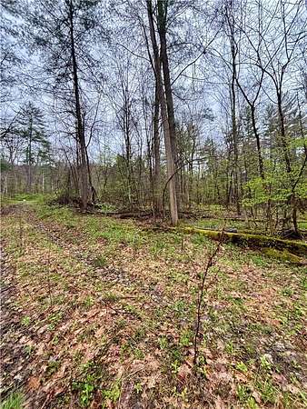 23.7 Acres of Recreational Land for Sale in Lindley, New York
