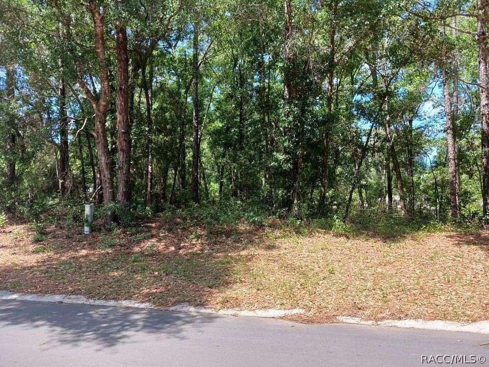 0.22 Acres of Residential Land for Sale in Inverness, Florida