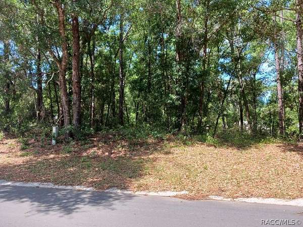 0.22 Acres of Residential Land for Sale in Inverness, Florida