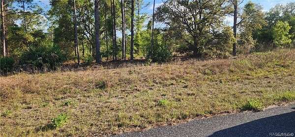 0.23 Acres of Residential Land for Sale in Citrus Springs, Florida