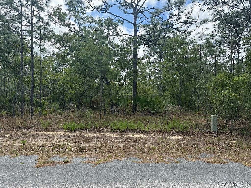0.3 Acres of Residential Land for Sale in Homosassa, Florida