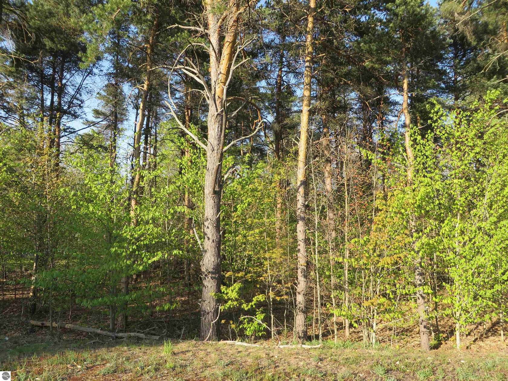 0.8 Acres of Residential Land for Sale in Petoskey, Michigan